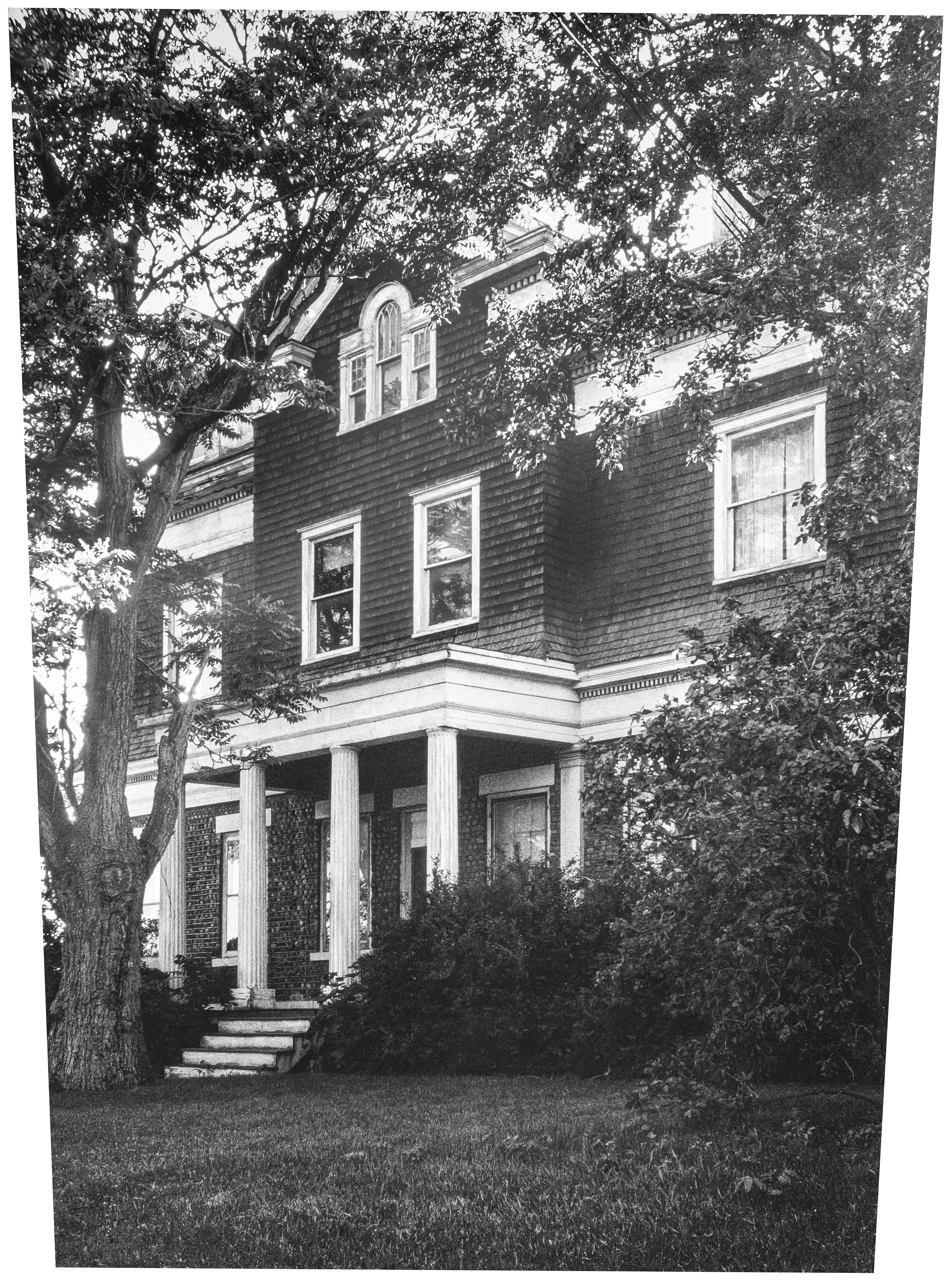 Fay-2 Freier Sen-20 3